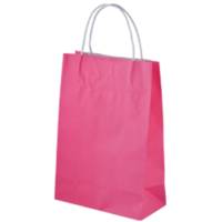 Pink Kraft Paper Bags - Junior(290*200+100mm, 250pcs)