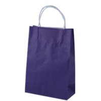 Purple Kraft Paper Bags - Junior(290*200+100mm, 250pcs)