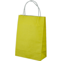 Yellow Kraft Paper Bags - Junior(290*200+100mm, 250pcs)