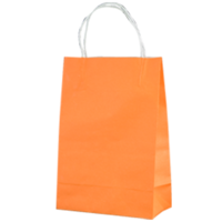 Orange Kraft Paper Bags - Junior(290*200+100mm, 250pcs)