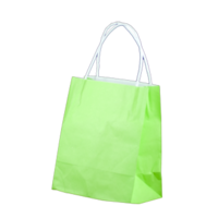 Green Kraft Paper Bags - Toddler(LLT)(200x170+100 mm, 250 pcs)