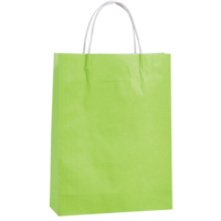 Green Kraft Paper Bags - Small (350*260+90mm, 250pcs)