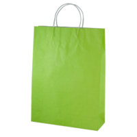 Green Kraft Paper Bags - Midi(420*310+110mm, 250pcs)