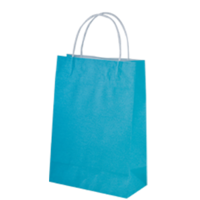 Blue Kraft Paper Bags - Junior(290*200+100mm, 250pcs)