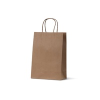 Paper Bags - Junior (BJ)(290x200+100 mm, 50pcs)