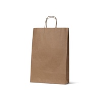 Paper Bags - Large (B2) (480x340+90 mm, 50pcs)