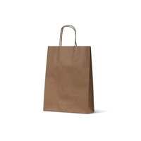 Paper Bags - Medium (B1)(350x260+90 mm, 50pcs)