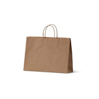 Boutique Paper Bags - Medium(BSB)(250x360+110 mm, 50pcs)