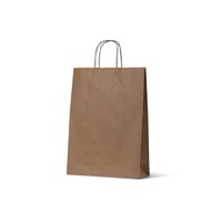 Paper Bags - Midi (BM) (420x310+110mm, 50pcs)