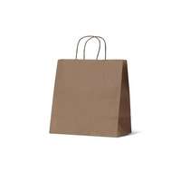 Takeaway Paper Bags - Medium (305x305+170mm, 50pcs)