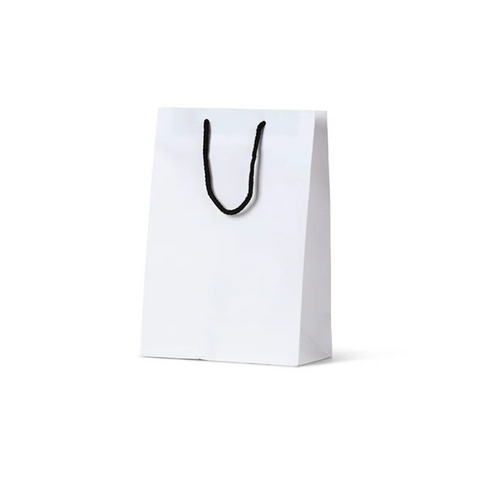 Deluxe White Kraft Paper Bags - Junior(290x200+100mm, 250pcs)