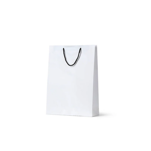 Deluxe White Kraft Paper Bags - Large(480x340+90mm, 250pcs)