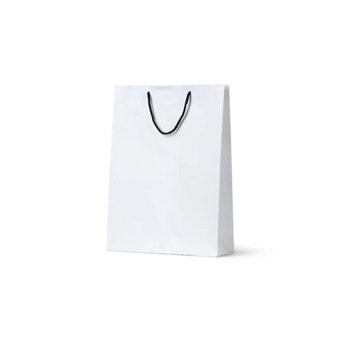 Deluxe White Kraft Paper Bags - Midi(420x310+110mm, 250pcs)