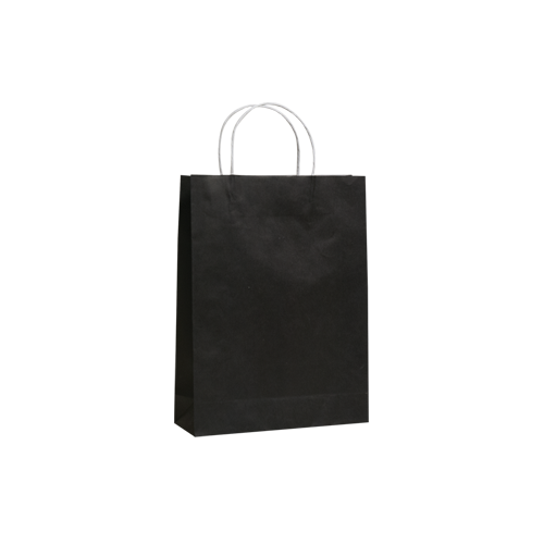 Black Kraft Paper Bags (250pcs)